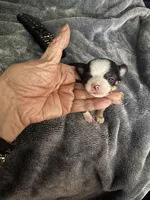 processed/ceb4600c-8ec2-467d-baaa-ebe109d3507b/facility/6c21509d-3ab3-4375-ae44-cf90593294b4