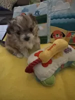 processed/ceb4600c-8ec2-467d-baaa-ebe109d3507b/facility/8830afe0-a923-4be2-92a1-9ef4996ae4e5