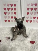 processed/ceb6f168-7394-4b76-a79a-f1cfada9cb4e/listing/9115f23d-36e2-452a-84ac-8208139273da/ccb8220f-309c-4b5b-8a15-78752c737c63