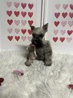 processed/ceb6f168-7394-4b76-a79a-f1cfada9cb4e/listing/9115f23d-36e2-452a-84ac-8208139273da/cdf211cf-70de-44ee-b3c2-b327807811d4