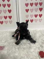 processed/ceb6f168-7394-4b76-a79a-f1cfada9cb4e/listing/bd715774-491b-43b2-846b-7f840f0c4a5f/1e0c0d4c-2ef1-4807-b76f-d174a438fb9e