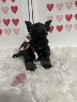 processed/ceb6f168-7394-4b76-a79a-f1cfada9cb4e/listing/bd715774-491b-43b2-846b-7f840f0c4a5f/40235994-a006-4eb1-bdef-7e7f116a365e