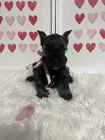 processed/ceb6f168-7394-4b76-a79a-f1cfada9cb4e/listing/bd715774-491b-43b2-846b-7f840f0c4a5f/580dfe4a-f64d-41d0-81d5-d2bf59be1ffd