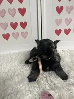 processed/ceb6f168-7394-4b76-a79a-f1cfada9cb4e/listing/bd715774-491b-43b2-846b-7f840f0c4a5f/6200dd63-4b8c-4da9-ab4f-8e2caf53f9be