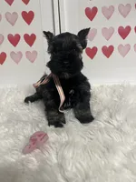 processed/ceb6f168-7394-4b76-a79a-f1cfada9cb4e/listing/bd715774-491b-43b2-846b-7f840f0c4a5f/79e39d20-0cfd-49ac-91f3-0be5e09f51f6