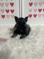 processed/ceb6f168-7394-4b76-a79a-f1cfada9cb4e/listing/bd715774-491b-43b2-846b-7f840f0c4a5f/e1730aa6-3211-4045-90eb-cfec6b05733c