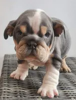 processed/ceb70b5d-87eb-4512-ac1d-caa55b31f562/listing/44ede84a-bdaa-4819-b5e4-60f63b72d276/943ac4ba-a913-4d8e-be72-27ad26d37d6d