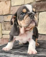 processed/ceb70b5d-87eb-4512-ac1d-caa55b31f562/listing/44ede84a-bdaa-4819-b5e4-60f63b72d276/9a23c616-9d68-4c5b-88bd-382c2e86d021