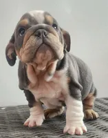 processed/ceb70b5d-87eb-4512-ac1d-caa55b31f562/listing/44ede84a-bdaa-4819-b5e4-60f63b72d276/c024b6b1-1171-425f-9f16-d040e1193a78