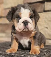 processed/ceb70b5d-87eb-4512-ac1d-caa55b31f562/listing/48e2ef9d-c7c2-4703-9403-467153e7ae1d/5add50d7-1c10-460c-a2b3-bad2ef738cdd