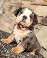 processed/ceb70b5d-87eb-4512-ac1d-caa55b31f562/listing/48e2ef9d-c7c2-4703-9403-467153e7ae1d/6ce1c939-cd80-4dba-bd05-6c83c4a1cdd2