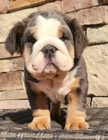 processed/ceb70b5d-87eb-4512-ac1d-caa55b31f562/listing/48e2ef9d-c7c2-4703-9403-467153e7ae1d/8d6a9821-3e99-42d1-936e-d814f9b1f04a