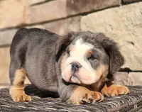 processed/ceb70b5d-87eb-4512-ac1d-caa55b31f562/listing/48e2ef9d-c7c2-4703-9403-467153e7ae1d/b2c5a1a7-03fe-4418-9611-2b271f6926f4