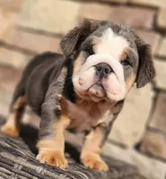 processed/ceb70b5d-87eb-4512-ac1d-caa55b31f562/listing/48e2ef9d-c7c2-4703-9403-467153e7ae1d/b338f737-268a-499b-95ea-9458a9873cf6