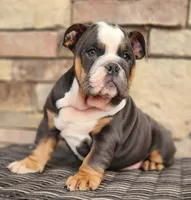 processed/ceb70b5d-87eb-4512-ac1d-caa55b31f562/listing/e29ceeb6-a861-45d9-ab94-f39874083142/9169bbb5-6c33-43a3-a3c6-58f848833473