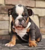 processed/ceb70b5d-87eb-4512-ac1d-caa55b31f562/listing/e29ceeb6-a861-45d9-ab94-f39874083142/ec39f879-6fdf-4f63-a141-c96a3daedd5b