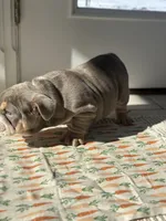 processed/ceb70b5d-87eb-4512-ac1d-caa55b31f562/listing/f1e54f12-ac54-42c6-9d83-b284d56bb83d/50af1694-4929-40a4-ade2-7a1d93e9451a