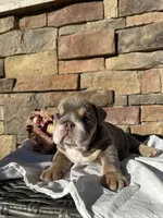 processed/ceb70b5d-87eb-4512-ac1d-caa55b31f562/listing/f1e54f12-ac54-42c6-9d83-b284d56bb83d/61e166c8-ef52-4893-8d9a-169778d6850a