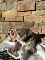 processed/ceb70b5d-87eb-4512-ac1d-caa55b31f562/listing/f1e54f12-ac54-42c6-9d83-b284d56bb83d/a37c6efb-0ea5-4680-9c19-76ff4d071de3