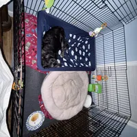 processed/cec56a73-726e-422e-b172-8cd1d9427c22/facility/07a8aaa7-976e-4f0a-8250-8f058ee13962