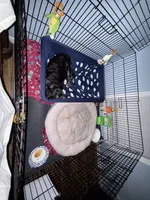 processed/cec56a73-726e-422e-b172-8cd1d9427c22/facility/07a8aaa7-976e-4f0a-8250-8f058ee13962