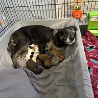 processed/cec56a73-726e-422e-b172-8cd1d9427c22/facility/0d0ee7d8-7674-43d1-94e3-71cab95c8212