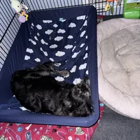 processed/cec56a73-726e-422e-b172-8cd1d9427c22/facility/283779dc-9e27-417f-bf69-8801a59c7190