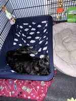 processed/cec56a73-726e-422e-b172-8cd1d9427c22/facility/283779dc-9e27-417f-bf69-8801a59c7190