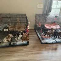 processed/cec56a73-726e-422e-b172-8cd1d9427c22/facility/39bf4a4d-37ed-4f02-bcc2-2d9ed0dc0af5