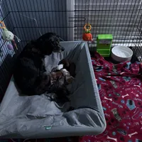 processed/cec56a73-726e-422e-b172-8cd1d9427c22/facility/4c4402b7-4d5e-4b1c-9ae4-5585ef5432a7