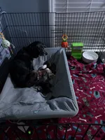 processed/cec56a73-726e-422e-b172-8cd1d9427c22/facility/4c4402b7-4d5e-4b1c-9ae4-5585ef5432a7