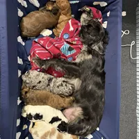 processed/cec56a73-726e-422e-b172-8cd1d9427c22/facility/8085c676-bb77-41c8-8165-09c4db1ee863