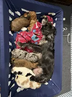 processed/cec56a73-726e-422e-b172-8cd1d9427c22/facility/8085c676-bb77-41c8-8165-09c4db1ee863