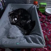 processed/cec56a73-726e-422e-b172-8cd1d9427c22/facility/aa9bdc1a-5161-4bc1-be02-98c7e0dcaf88