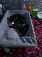 processed/cec56a73-726e-422e-b172-8cd1d9427c22/facility/aa9bdc1a-5161-4bc1-be02-98c7e0dcaf88