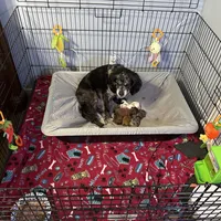 processed/cec56a73-726e-422e-b172-8cd1d9427c22/facility/bcc41554-0b5b-48b5-be78-34bd7e812578