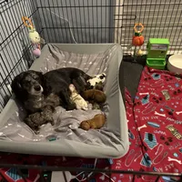 processed/cec56a73-726e-422e-b172-8cd1d9427c22/facility/d92efa30-5005-4cf3-bec6-af53c442c633