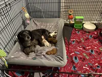 processed/cec56a73-726e-422e-b172-8cd1d9427c22/facility/d92efa30-5005-4cf3-bec6-af53c442c633