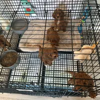 processed/cec56a73-726e-422e-b172-8cd1d9427c22/facility/dd3f3972-9075-4176-9ac0-1a2bede352c1