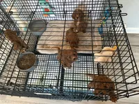 processed/cec56a73-726e-422e-b172-8cd1d9427c22/facility/dd3f3972-9075-4176-9ac0-1a2bede352c1