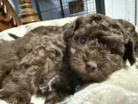 processed/cec56a73-726e-422e-b172-8cd1d9427c22/listing/0612123c-e63f-42dd-868d-ba195d595943/698de5b6-d266-4cd7-bc30-d7c06188fc88