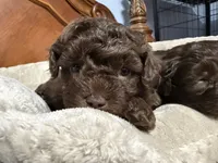 processed/cec56a73-726e-422e-b172-8cd1d9427c22/listing/0612123c-e63f-42dd-868d-ba195d595943/719a358e-2698-43e0-a251-4ae2b75b02dc