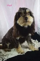 processed/cec56a73-726e-422e-b172-8cd1d9427c22/listing/0612123c-e63f-42dd-868d-ba195d595943/999867b2-049f-4b86-a5db-5242b7d70298