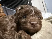 processed/cec56a73-726e-422e-b172-8cd1d9427c22/listing/0612123c-e63f-42dd-868d-ba195d595943/be64dcb1-d835-4b33-bf8f-b8f9ac379d34