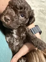 processed/cec56a73-726e-422e-b172-8cd1d9427c22/listing/0612123c-e63f-42dd-868d-ba195d595943/e418dbc5-8bb2-46e9-818c-70dbf9aa3566