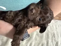 processed/cec56a73-726e-422e-b172-8cd1d9427c22/listing/0612123c-e63f-42dd-868d-ba195d595943/fc153fe9-8e4a-43d6-b595-5feaf59790a1