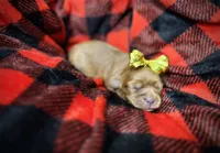 processed/cec56a73-726e-422e-b172-8cd1d9427c22/listing/24131096-9777-4ee6-bfe5-1a3edf99425a/11bf91c9-bc0c-493c-96dc-5be23ab653cd