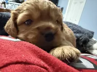 processed/cec56a73-726e-422e-b172-8cd1d9427c22/listing/24131096-9777-4ee6-bfe5-1a3edf99425a/8cfa75b3-3926-43e4-b4e9-56c8d05ab83b