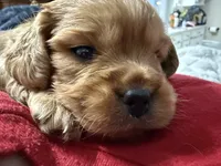 processed/cec56a73-726e-422e-b172-8cd1d9427c22/listing/24131096-9777-4ee6-bfe5-1a3edf99425a/a4b047a6-6385-4009-ac3b-e96714f07fe9