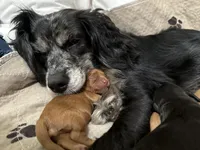 processed/cec56a73-726e-422e-b172-8cd1d9427c22/listing/24131096-9777-4ee6-bfe5-1a3edf99425a/be9884b8-d173-4223-9ecd-a60c378baa58